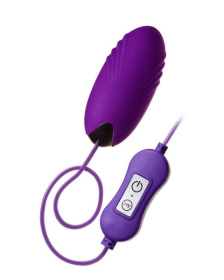 Фиолетовое виброяйцо с пультом управления A-Toys Cony, работающее от USB фото в интим магазине Love Boat