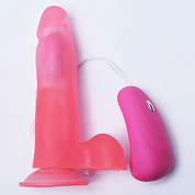 Розовый гелевый вибратор на присоске - 20 см. фото в интим магазине Love Boat