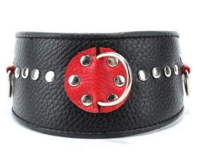 
Черно-красный кожаный ошейник с металлическими клепками фото в интим магазине Love Boat