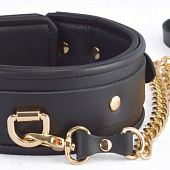 Черный ошейник с золотистым поводком
