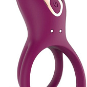 Сливовое эрекционное виброкольцо кольцо AN Germ