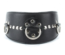
Чёрный кожаный ошейник с полукольцами и клёпками фото в интим магазине Love Boat