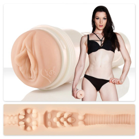 Мастурбатор-вагина Fleshlight Girls - Stoya Destroya фото в интим магазине Love Boat