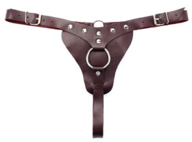 Бордовые трусики с кольцом для насадок Maroon Panties фото в интим магазине Love Boat