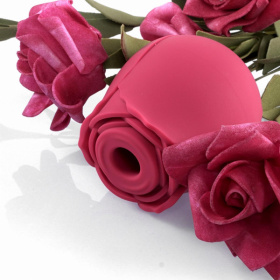 Красный вакуумный стимулятор Rose