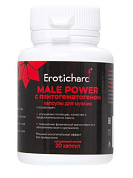Капсулы для мужчин Erotichard male power с пантогематогеном - 20 капсул (0,370 гр.) фото в интим магазине Love Boat