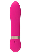 Розовый мни-вибратор Romp Vibe - 11,9 см. фото в секс шопе Love Boat