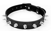 
Черный ошейник с серебристыми шипами фото в интим магазине Love Boat