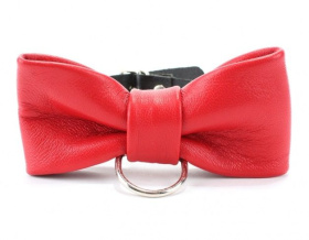 
Эффектный красный ошейник-бабочка на черных ремнях фото в интим магазине Love Boat