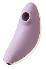 Сиреневый вакуум-волновой вибростимулятор клитора Satisfyer Vulva Lover 1 фото в интим магазине Love Boat