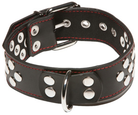 
Ошейник с кольцом X-Play Collar With D-ring фото в интим магазине Love Boat