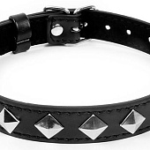 Черный ошейник с серебристыми ромбиками