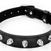 Черный ошейник с серебристыми шипами
