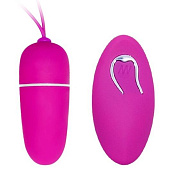 Виброяичко Bradley на радиоуправлении