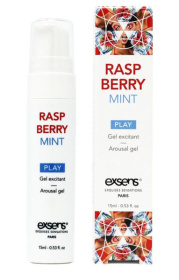 Возбуждающий гель Raspberry Mint с ароматом малины и мяты - 15 мл. фото в интим магазине Love Boat