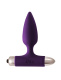 Фиолетовая анальная вибропробка New Edition Glory - 11 см.