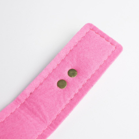 Черно-розовый ошейник с золотистой фурнитурой