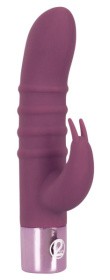 Фиолетовый вибратор-кролик с ребрышками Rabbit Vibe - 16 см. фото в интим магазине Love Boat