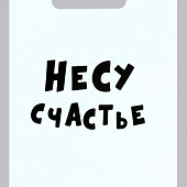 Подарочный пакет  Несу счастье  - 20 х 30 см.