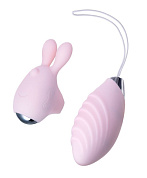 Нежно-розовый набор VITA: вибропуля и вибронасадка на палец  фото в интим магазине Love Boat