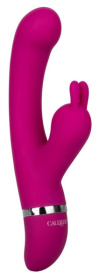 Лиловый вибратор-кролик Foreplay Frenzy Bunny Kisser фото в интим магазине Love Boat