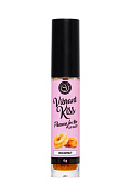 Бальзам для губ Lip Gloss Vibrant Kiss со вкусом пончиков - 6 гр. фото в интим магазине Love Boat